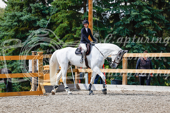 2025 - Haylee - Picco Horse Show - Saturday July 26th 07879
