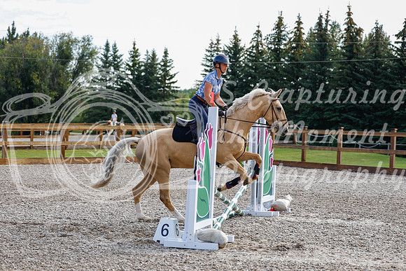 2025 - Haylee - Picco Horse Show - Saturday July 26th 00154