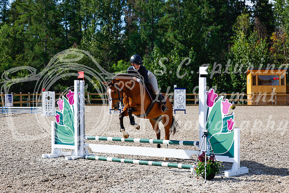 2025 - Haylee - Picco Horse Show - Thursday July 24th 00913