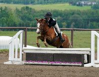 Pony