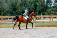 2025 - Haylee - Picco Horse Show - Saturday July 26th 08279