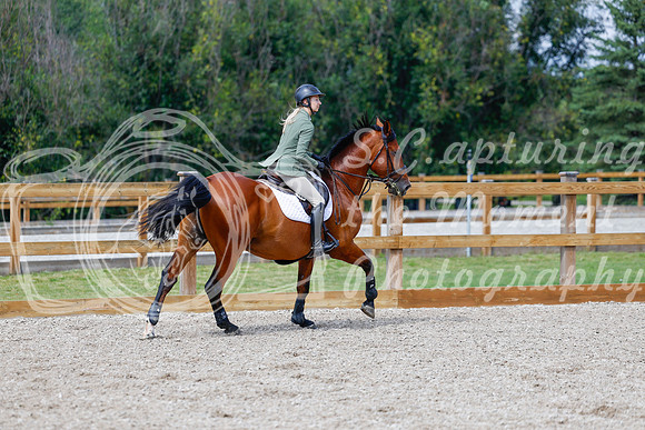 2025 - Haylee - Picco Horse Show - Saturday July 26th 08279