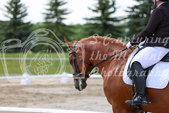 2025 - Dressage Festival - Saturday July 5th - 09307