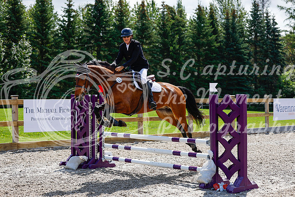 2025 - Haylee - Picco Horse Show - Sunday July 27th 02993