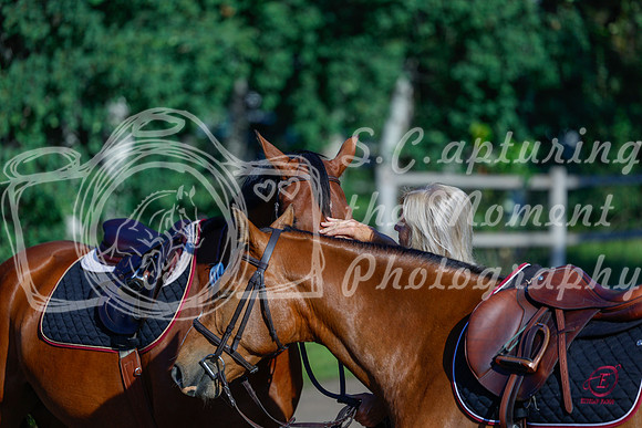 2025 - Haylee - Picco Horse Show - Thursday July 24th 00017