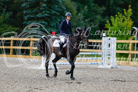 2025 - Haylee - Picco Horse Show - Sunday July 27th 02860