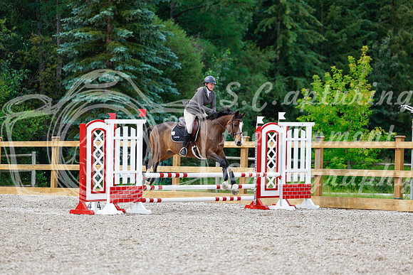2025 - Haylee - Picco Horse Show - Friay July 25th 01571