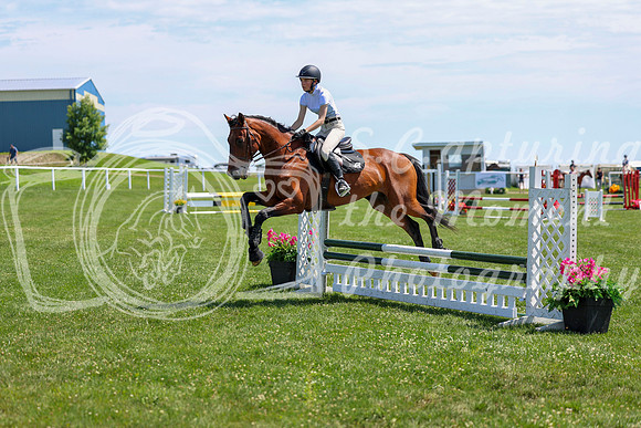 2025 - Shea - Teesdale - Thursday July 24th - 01646