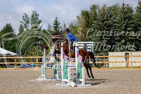 2025 - Haylee - Picco Horse Show - Sunday July 27th 02439