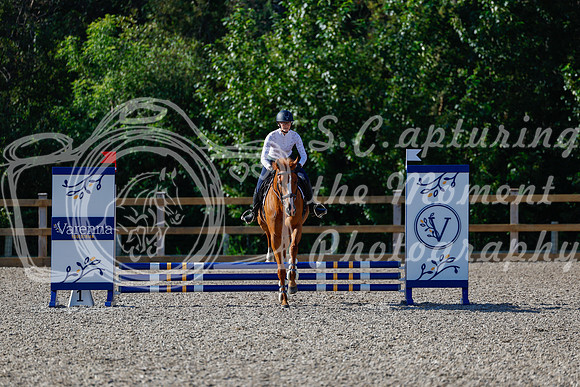 2025 - Haylee - Picco Horse Show - Thursday July 24th 00367