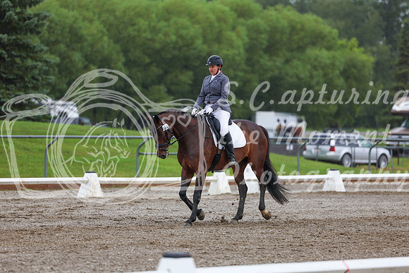 2025 - Dressage Festival - Sunday July 6th - 02418