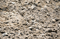 2025 - Petra - Jump With Hope - Friday July 18th 15531