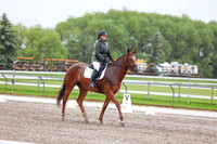 2025 - Dressage Festival - Sunday July 6th - 03579