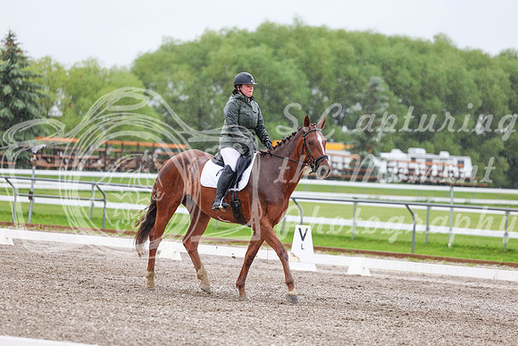 2025 - Dressage Festival - Sunday July 6th - 03579