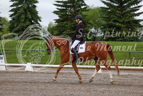 2025 - Dressage Festival - Sunday July 6th - 01328