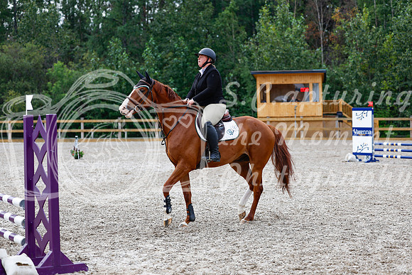 2025 - Haylee - Picco Horse Show - Saturday July 26th 02633