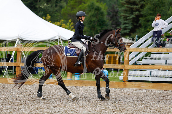 2025 - Haylee - Picco Horse Show - Saturday July 26th 01954