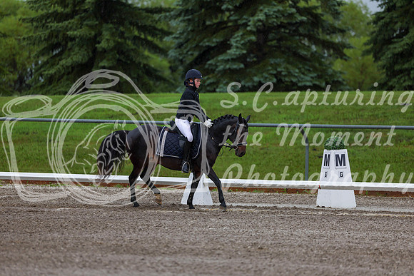 2025 - Dressage Festival - Sunday July 6th - 00027