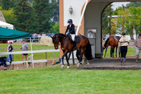 2025 - Haylee - Jump With Hope - Saturday July 19th 17618