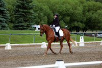 2025 - Dressage Festival - Sunday July 6th - 11293
