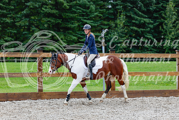 2025 - Haylee - Picco Horse Show - Sunday July 27th 01743