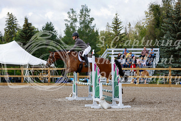 2025 - Haylee - Picco Horse Show - Sunday July 27th 02581
