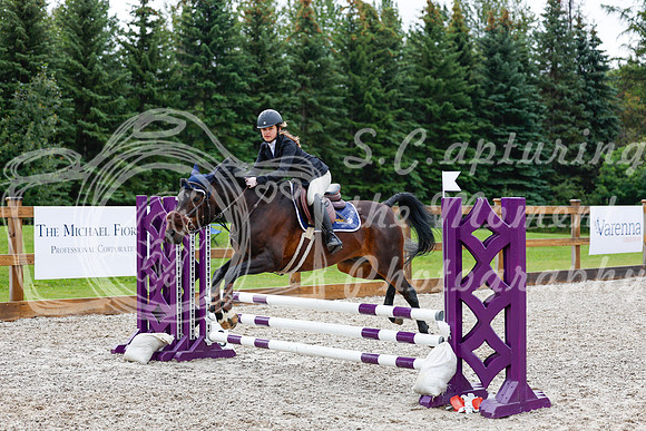 2025 - Haylee - Picco Horse Show - Sunday July 27th 01035