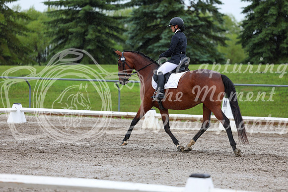 2025 - Dressage Festival - Sunday July 6th - 07817