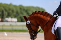 2025 - Dressage Festival - Saturday July 5th - 06293