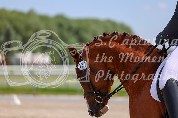 2025 - Dressage Festival - Saturday July 5th - 06293