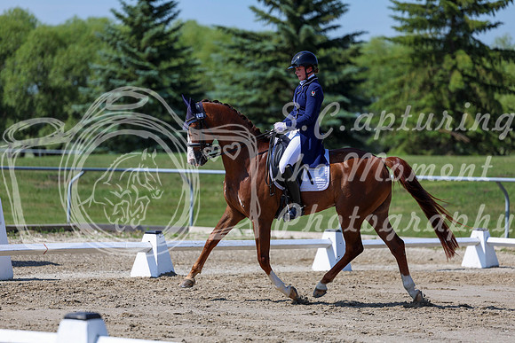 2025 - Dressage Festival - Saturday July 5th - 04273