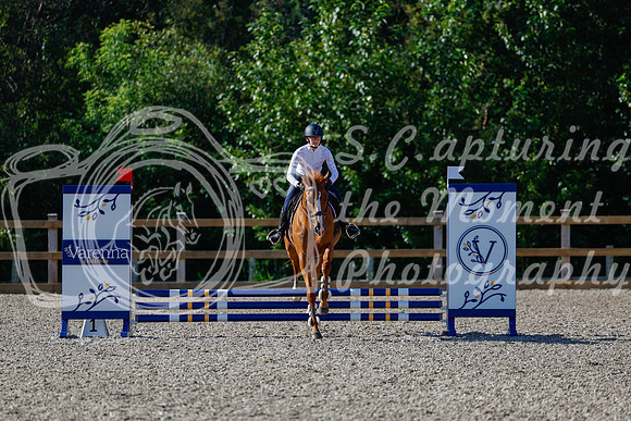 2025 - Haylee - Picco Horse Show - Thursday July 24th 00366