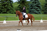 2025 - Dressage Festival - Sunday July 6th - 11299