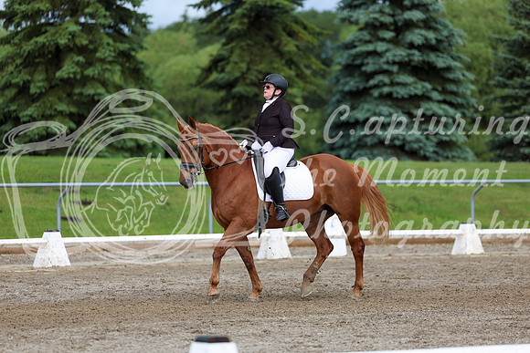 2025 - Dressage Festival - Sunday July 6th - 11299