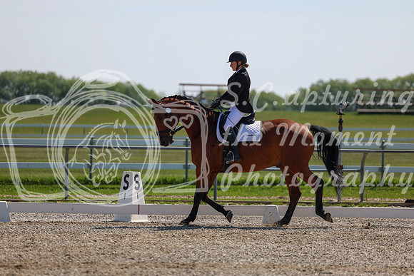 2025 - Dressage Festival - Saturday July 5th - 04342
