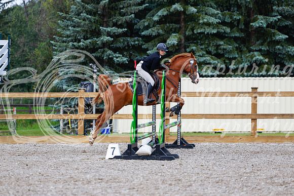 2025 - Haylee - Picco Horse Show - Sunday July 27th 02181