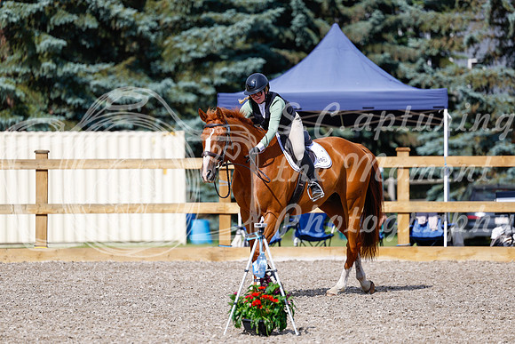 2025 - Haylee - Picco Horse Show - Thursday July 24th 01261