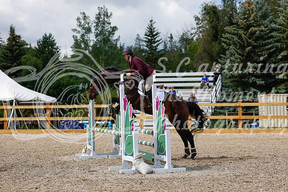 2025 - Haylee - Picco Horse Show - Sunday July 27th 03256