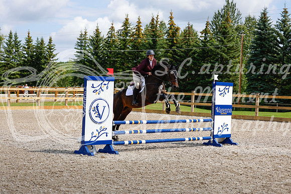 2025 - Haylee - Picco Horse Show - Sunday July 27th 03271