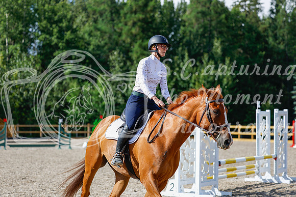 2025 - Haylee - Picco Horse Show - Thursday July 24th 00982