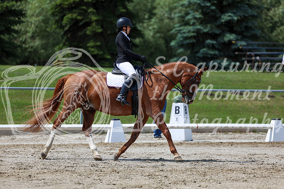 2025 - Dressage Festival - Saturday July 5th - 10141