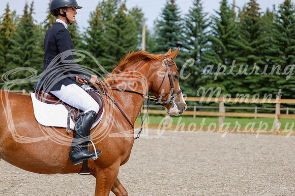 2025 - Haylee - Picco Horse Show - Friay July 25th 04219