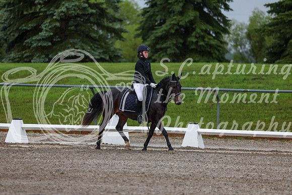2025 - Dressage Festival - Sunday July 6th - 00034