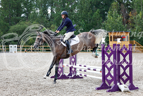 2025 - Haylee - Picco Horse Show - Saturday July 26th 03428