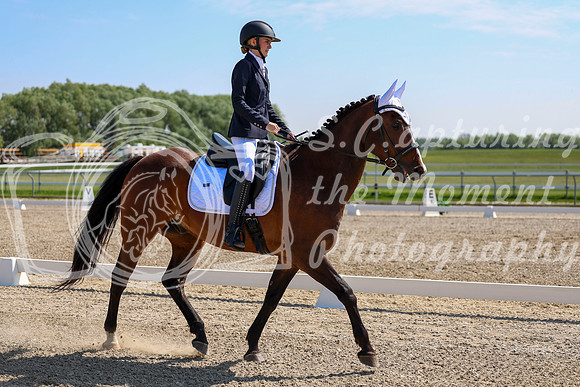 2025 - Dressage Festival - Saturday July 5th - 03916