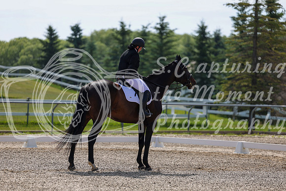 2025 - Dressage Festival - Saturday July 5th - 02974