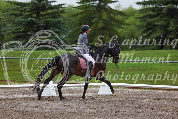 2025 - Dressage Festival - Sunday July 6th - 00718