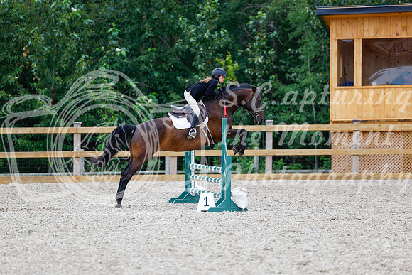2025 - Haylee - Picco Horse Show - Saturday July 26th 04311