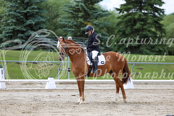 2025 - Dressage Festival - Saturday July 5th - 11183