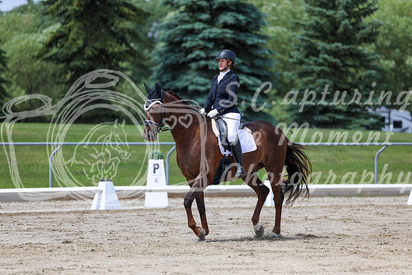 2025 - Dressage Festival - Saturday July 5th - 08482